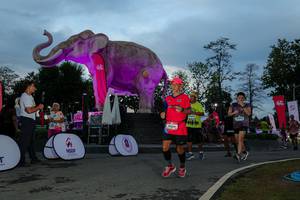 BIB: 
                            <button type="button" onclick="openModal(26529570)" class="btn btn-primary btn-sm float-right btn-popup" data-toggle="modal" data-target=".modal-high-quality">
                        <i class="fas fa-shopping-cart"></i> Add to Cart
                    </button>
                                            <button type="button" onclick="isThisMe(26529570, true)" class="btn btn-success btn-sm float-right btn-popup btn-isme hidden" data-toggle="tooltip" data-placement="bottom" title="นี่คือรูปของคุณใช่ไหม คลิกที่นี่เพื่อเอาเข้าอัลบั้ม">
                        <i class="fas fa-plus"></i> Add to album
                    </button>
                    <button type="button" onclick="isThisMe(26529570, false)" class="btn btn-warning btn-sm float-right btn-popup btn-isnotme hidden">
                        <i class="fas fa-ban"></i> Remove from album
                    </button>